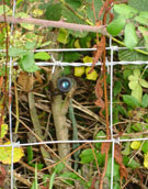 Technical Surveillance context based training